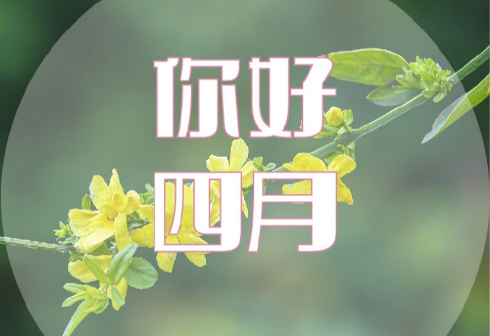 4 月裝修，錯過等一年！青島業(yè)主必看的裝修黃金時機?